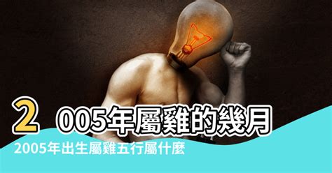 屬雞的人|屬雞的五行屬什麼 揭秘「不同屬性」的屬雞人性格